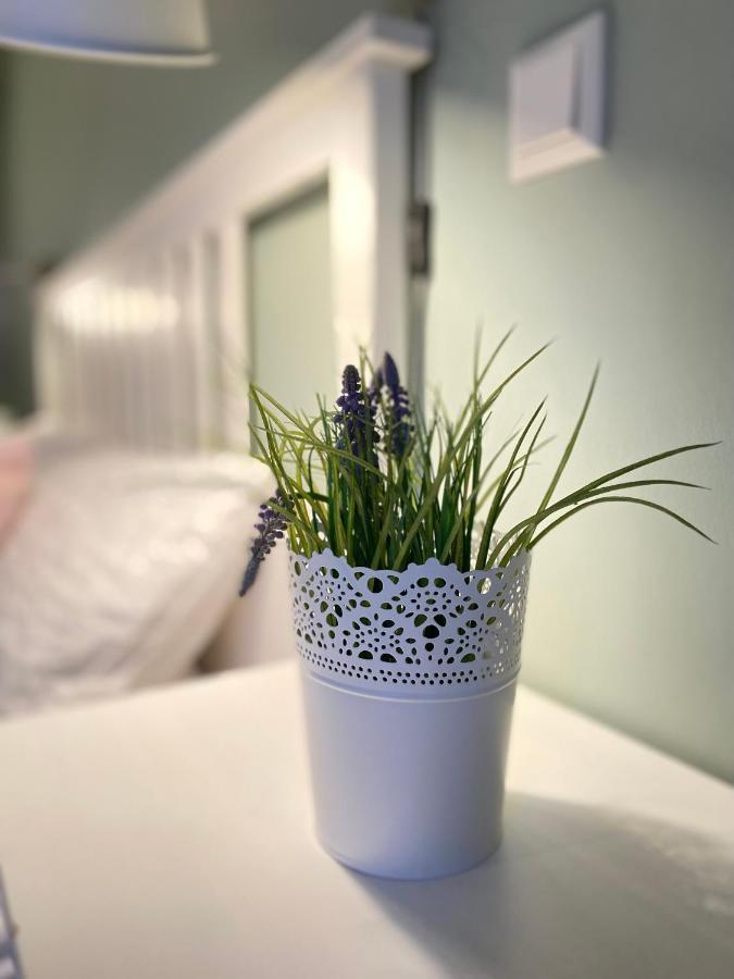 Apartamento Bed N Riesling Forst an der Weinstrasse Exterior foto
